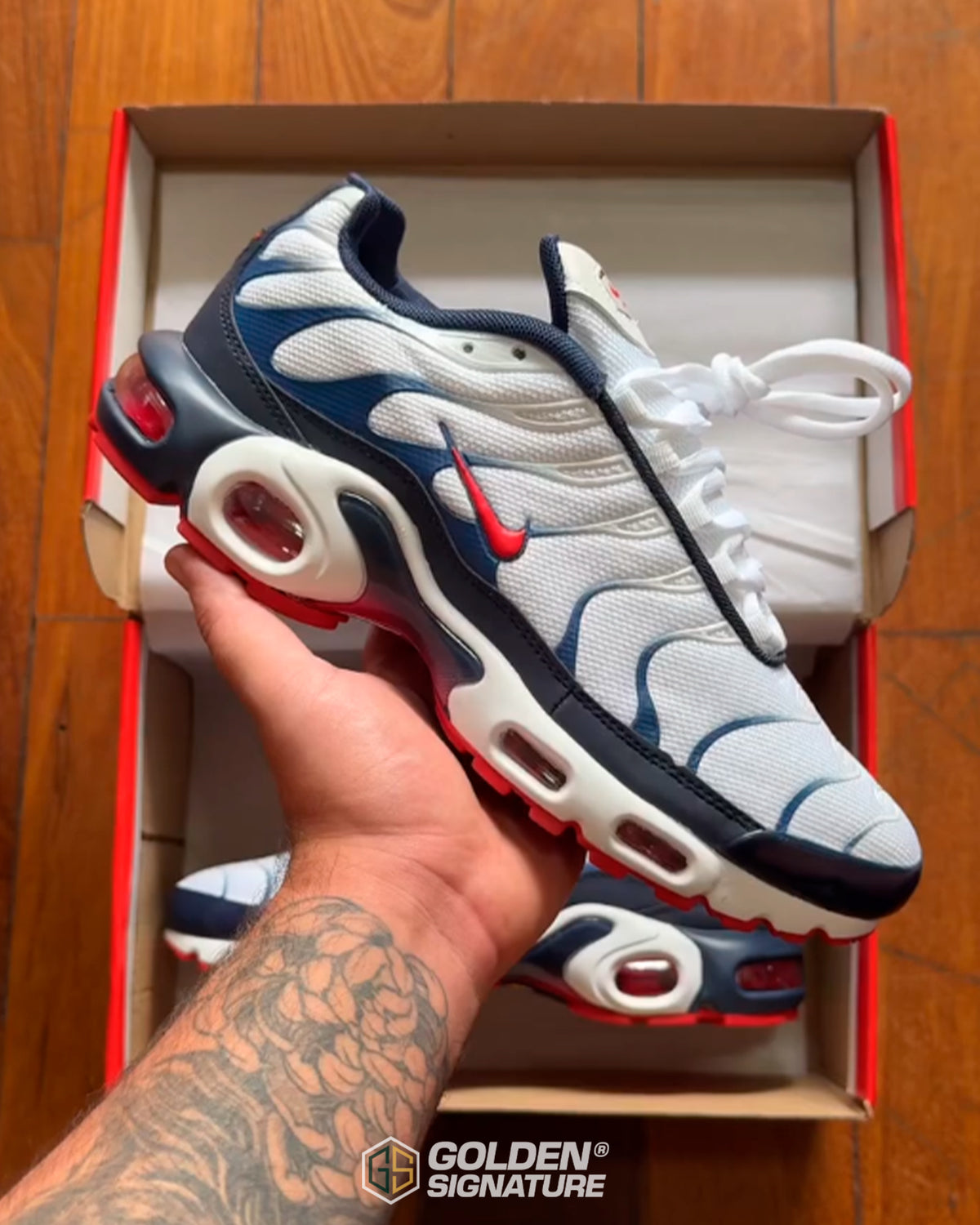 Tênis Nike Air Max Plus TN