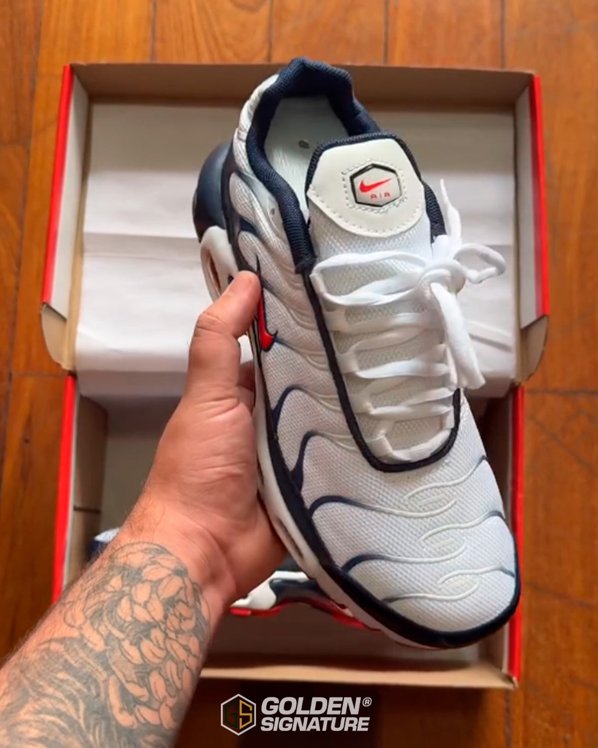 Tênis Nike Air Max Plus TN